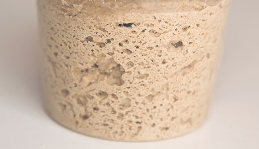 Хлебная закваска на симбионе - рецепты от Аврора